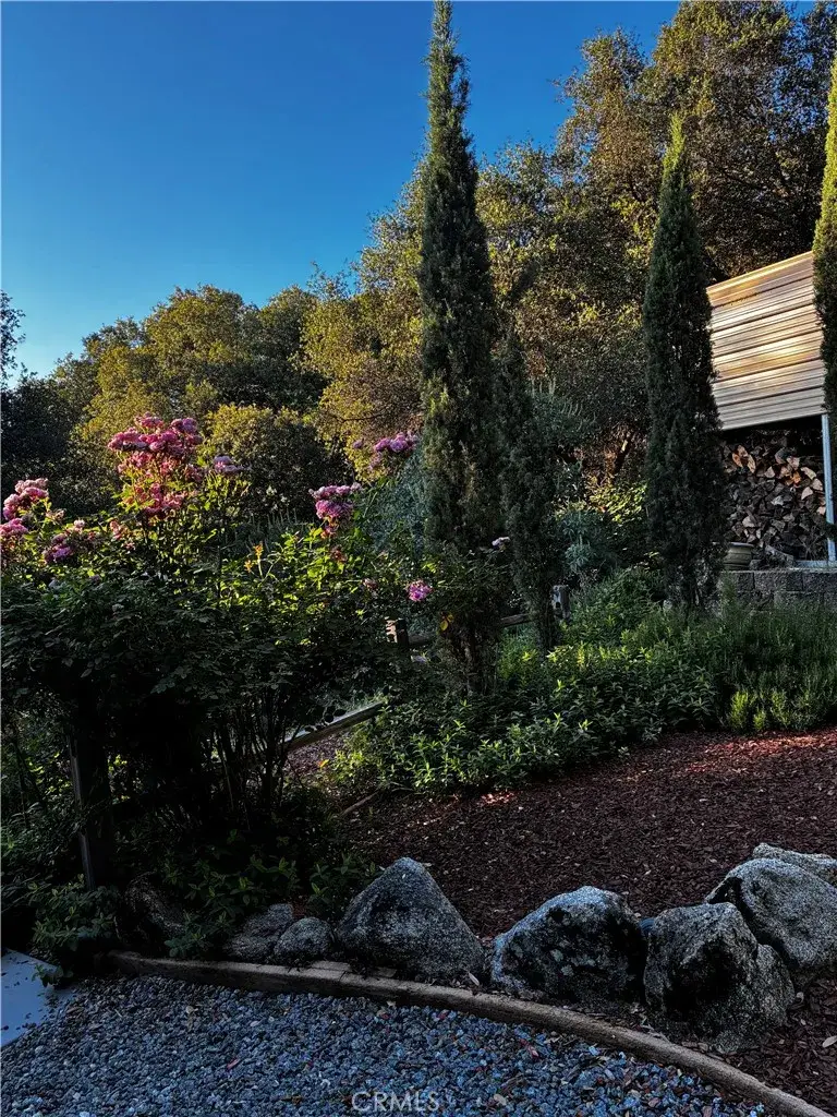 39309 Forest Park Lane, Oakhurst, CA 93644 - #3