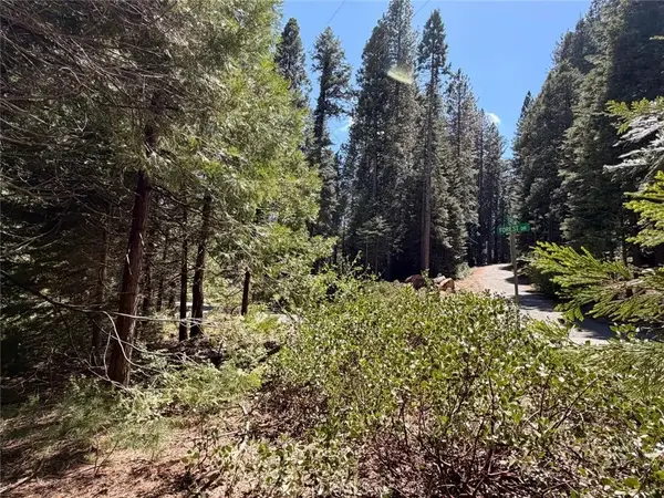 7631 Forest, Fish Camp, CA 93623