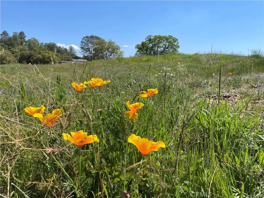 0 Buggy Whip Dr., Coarsegold, CA 93614 - #3