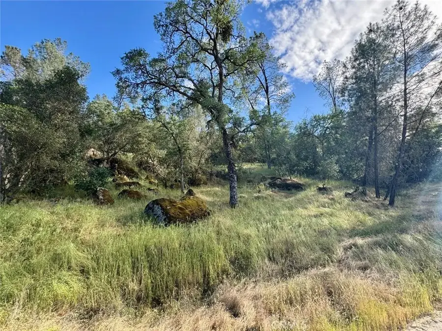 1 Road 400, Coarsegold, CA 93614 - #2