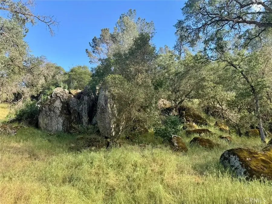 1 Road 400, Coarsegold, CA 93614 - #3