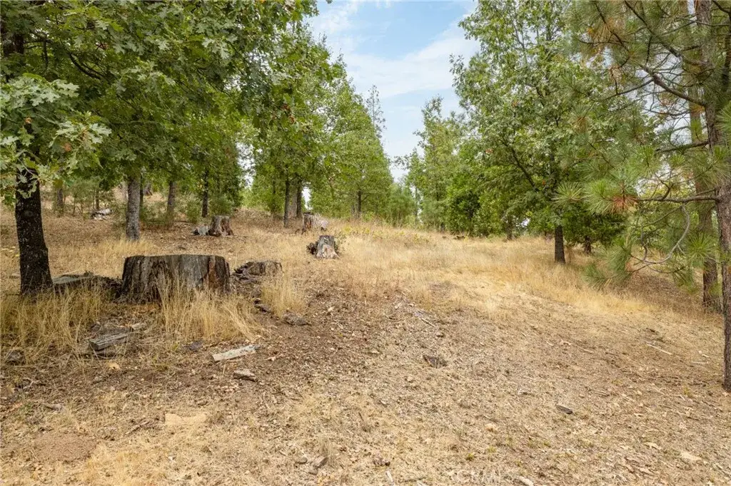 26 Timberview, North Fork, CA 93643 - #1