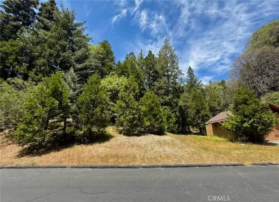 246 Cedar Ridge, Lake Arrowhead, CA 92352 - #3