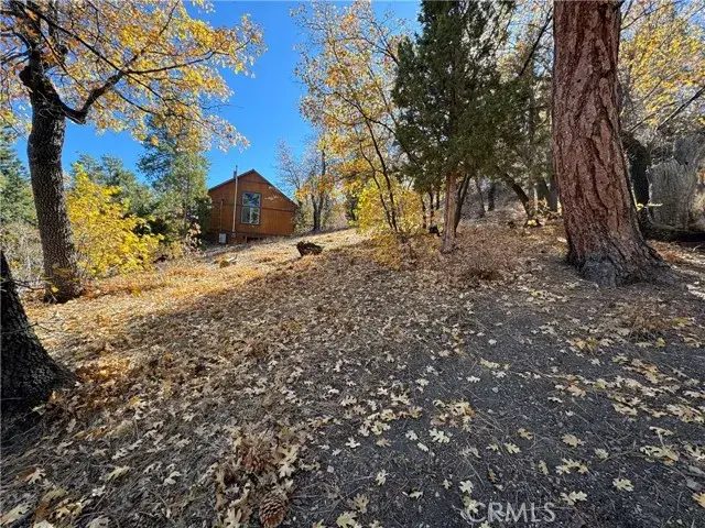 #2