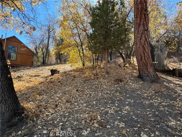 #3