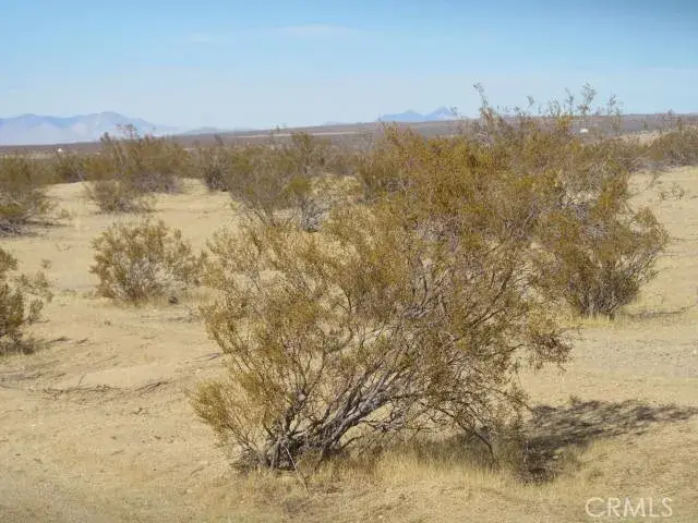 3107 Brown, California City, CA 93505 - Image #3