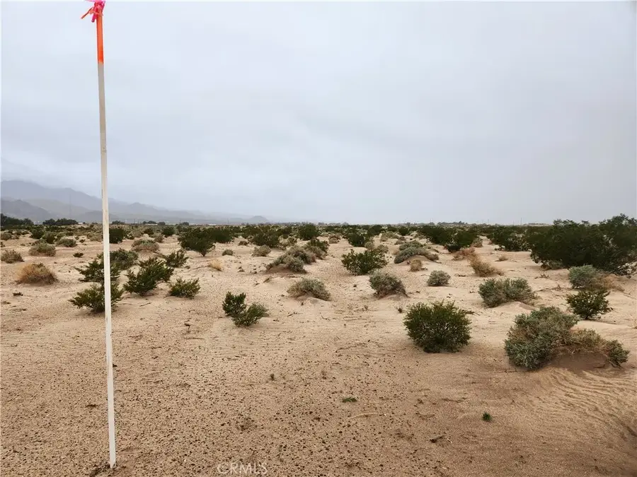 4 Near Fairview, Newberry Springs, CA 92365 - #2
