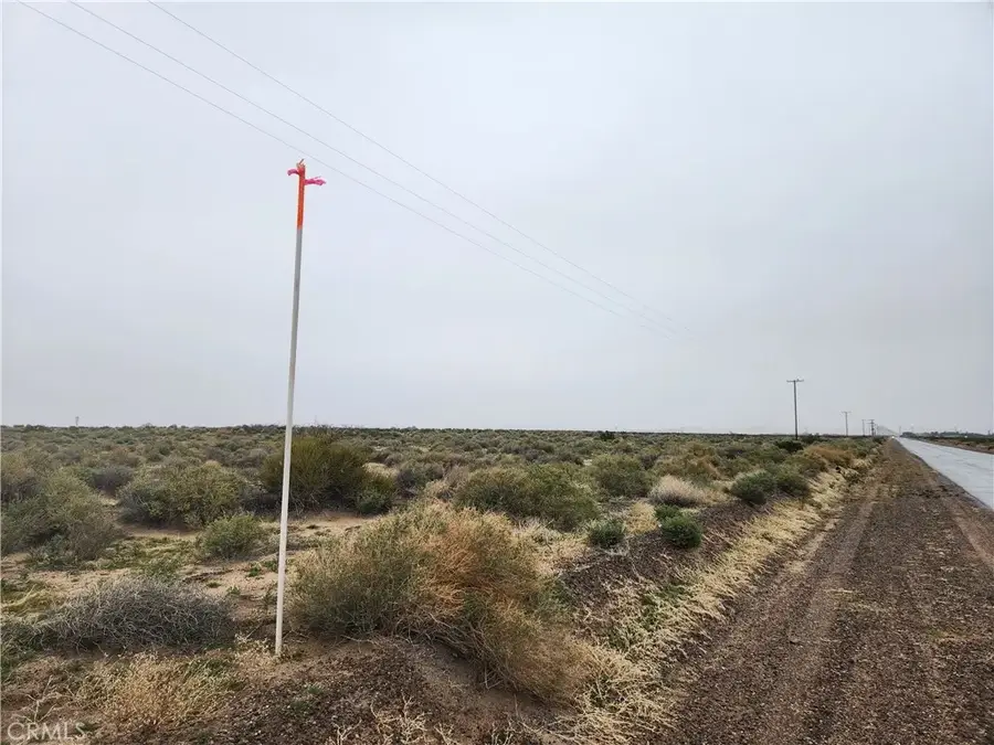 45230 Fairview, Newberry Springs, CA 92365 - #2