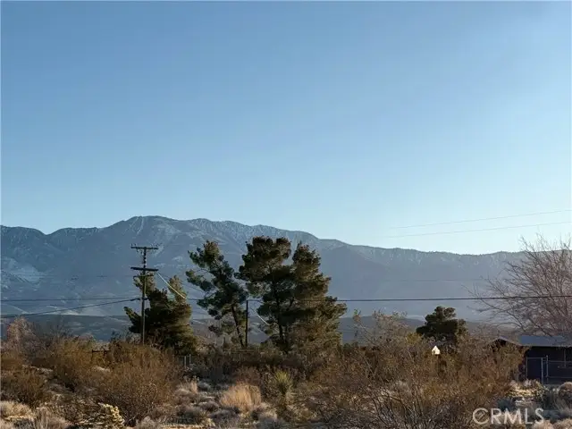 #2