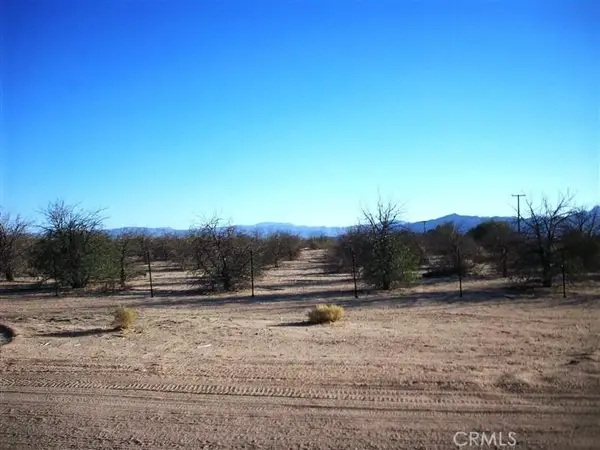 45527 Twin Lakes, Newberry Springs, CA 92365