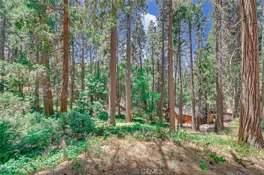 590 Electra, Crestline, CA 92325 - #2