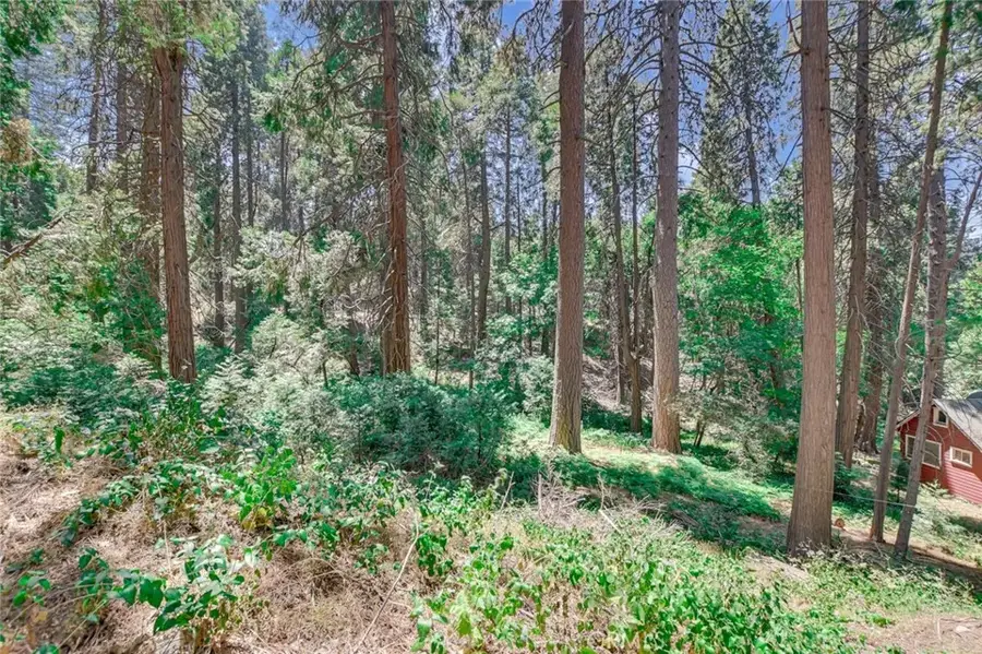 590 Electra, Crestline, CA 92325 - #3