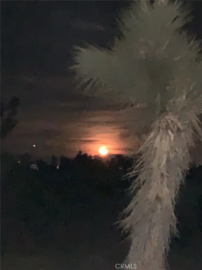 1 Yucca Terrace, Phelan, CA 92371 - Image #2