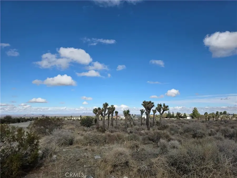 1 Goss, Pinon Hills, CA 92372 - Image #2