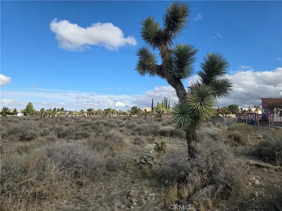 1 Goss, Pinon Hills, CA 92372 - Image #3