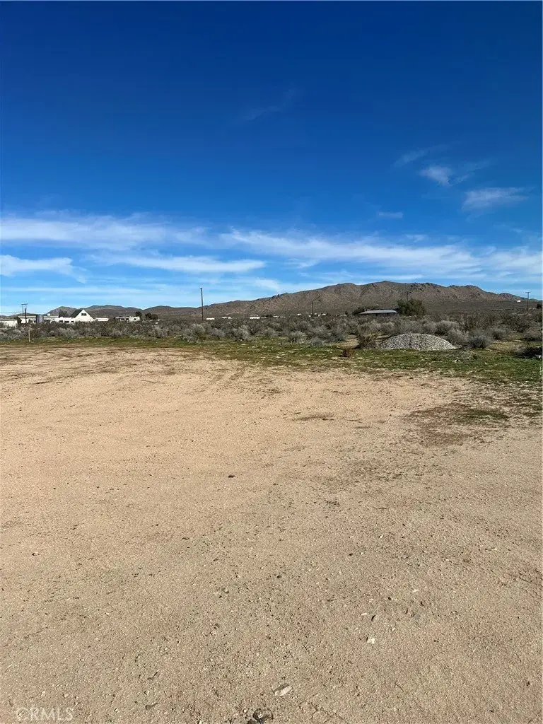 21012 Stoddard Wells, Apple Valley, CA 92307 - #3