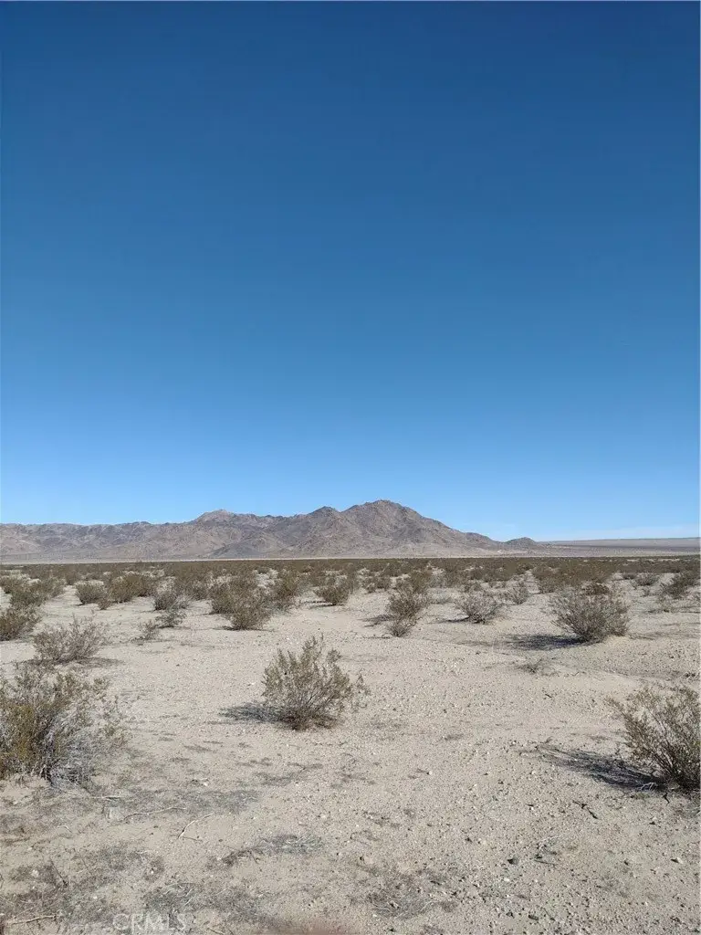 25 Dune (near), Lucerne Valley, CA 92356 - Image #3