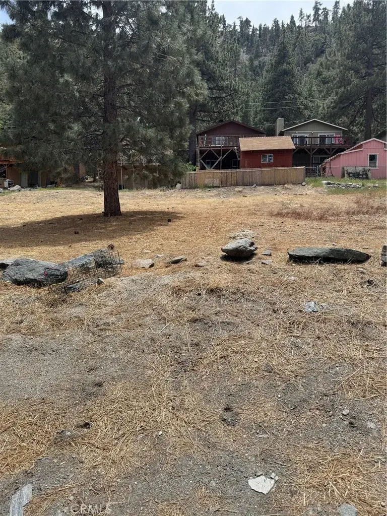 999 Buckthorn, Wrightwood, CA 92397 - Image #2