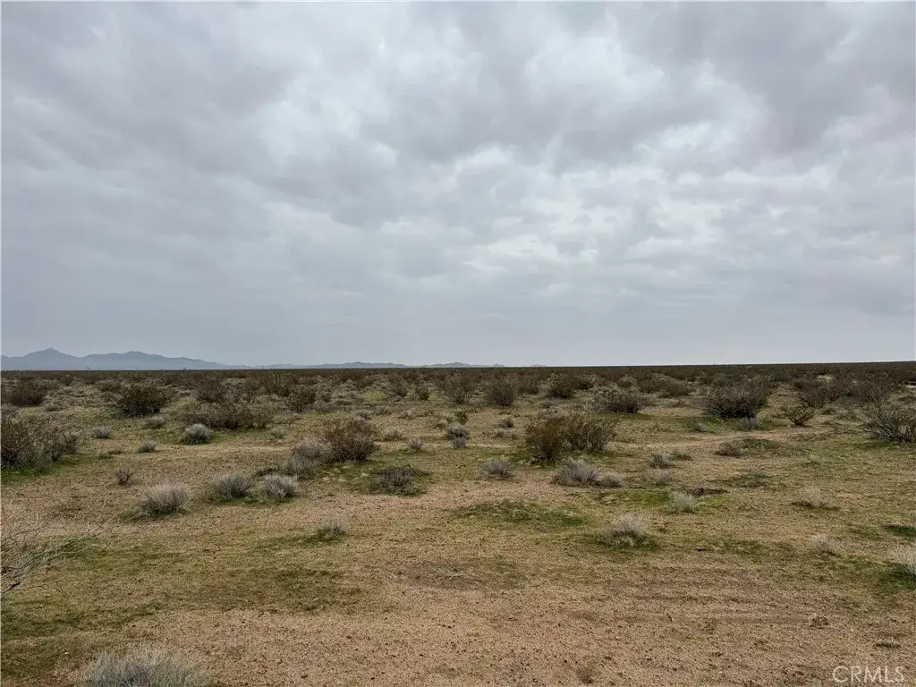 8133 Near Helendale, Helendale, CA 92342 - #1