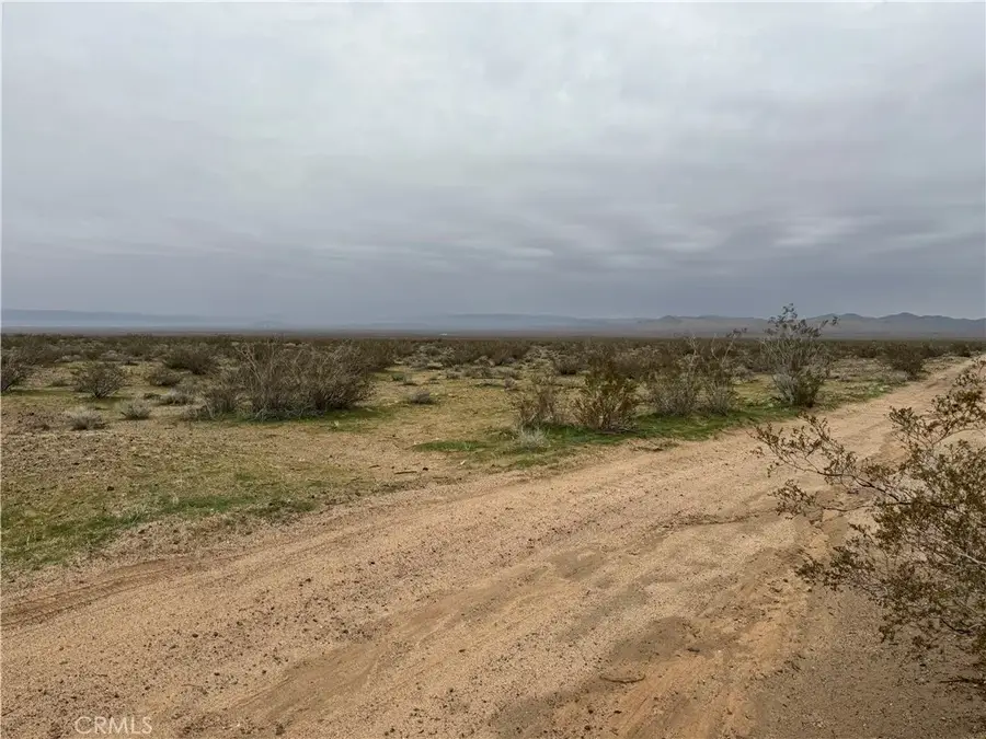 8133 Near Helendale, Helendale, CA 92342 - #2