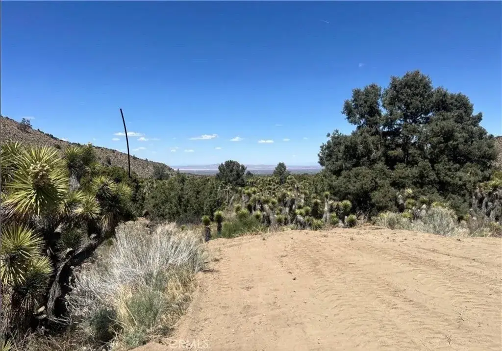 0 Evergreen Rd, Pinon Hills, CA 92372 - Image #1