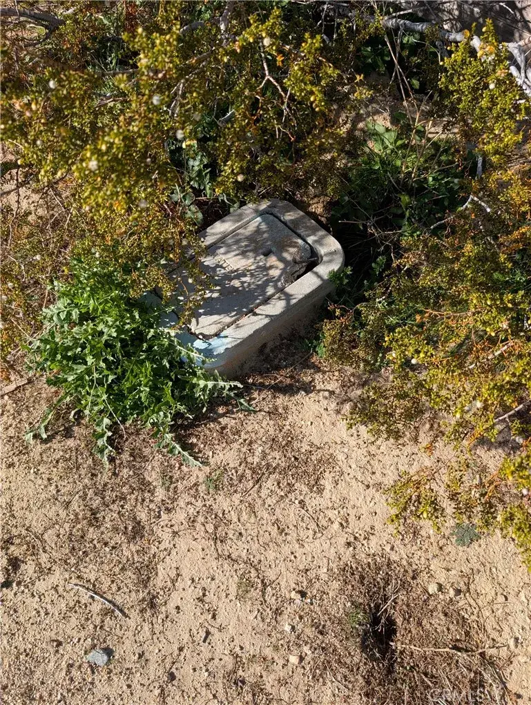 26200 Cheyenne, Mojave, CA 93501 - #3