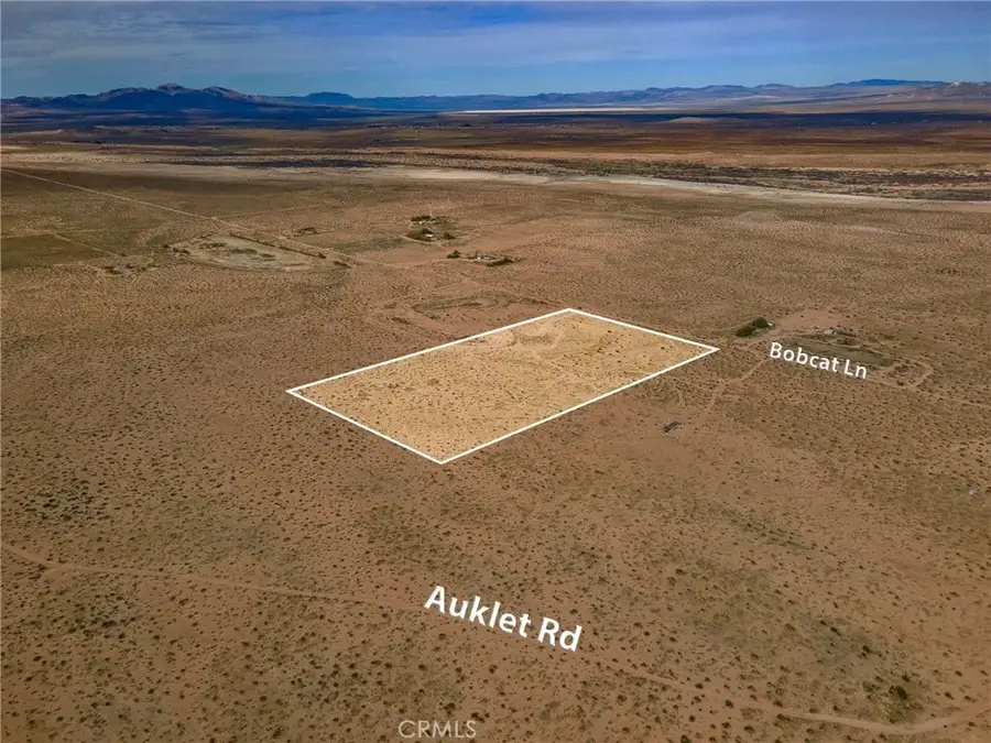 123 Bobcat Lane, Newberry Springs, CA 92365 - #2