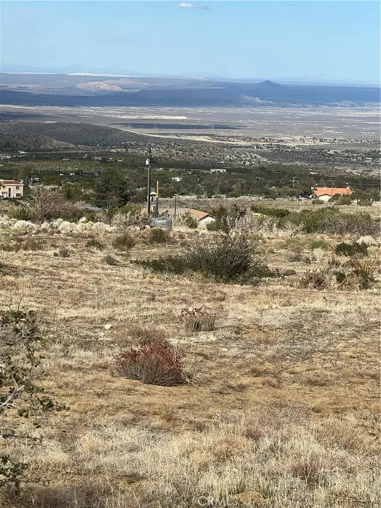 10510 Piute, Littlerock, CA 93543 - #2