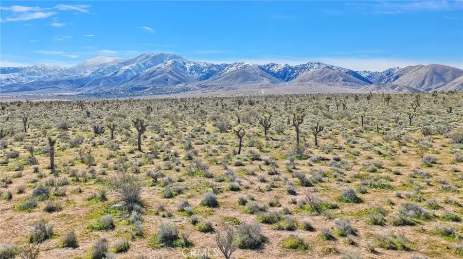 0 Joshua, Apple Valley, CA 92308 - #3