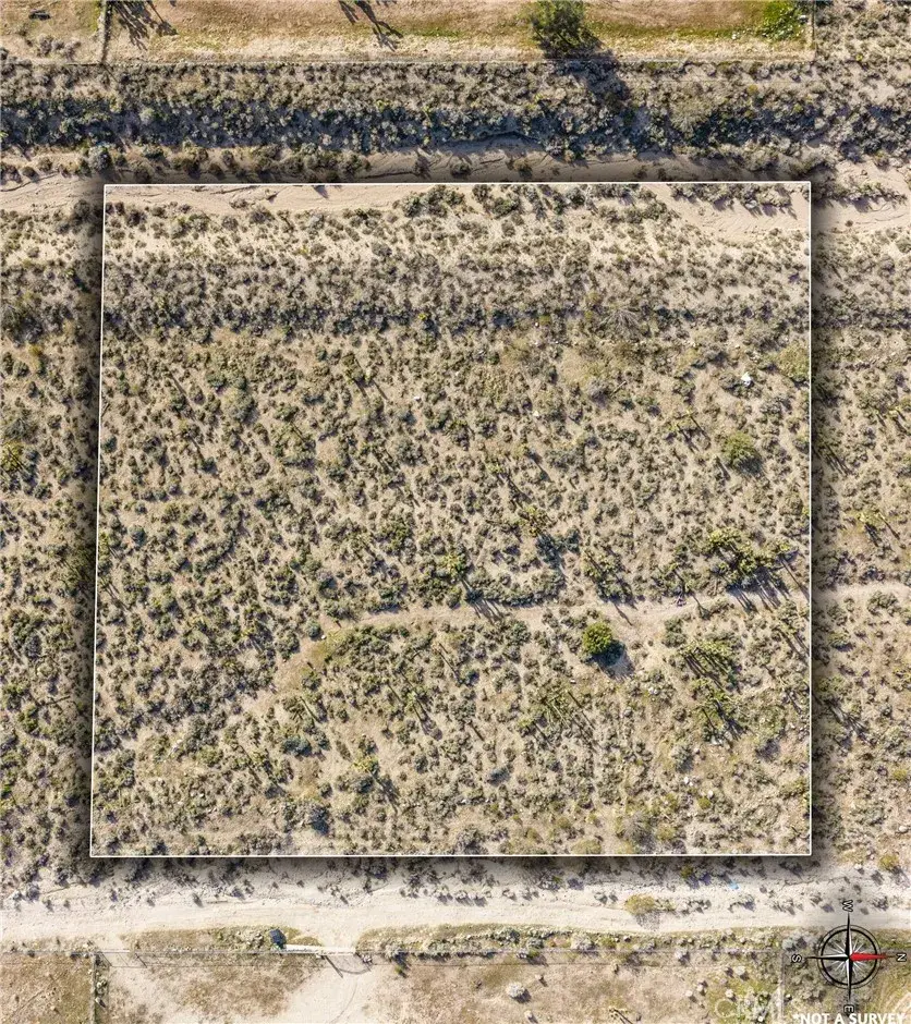 11073 Primavera Rd, Pinon Hills, CA 92372 - #1