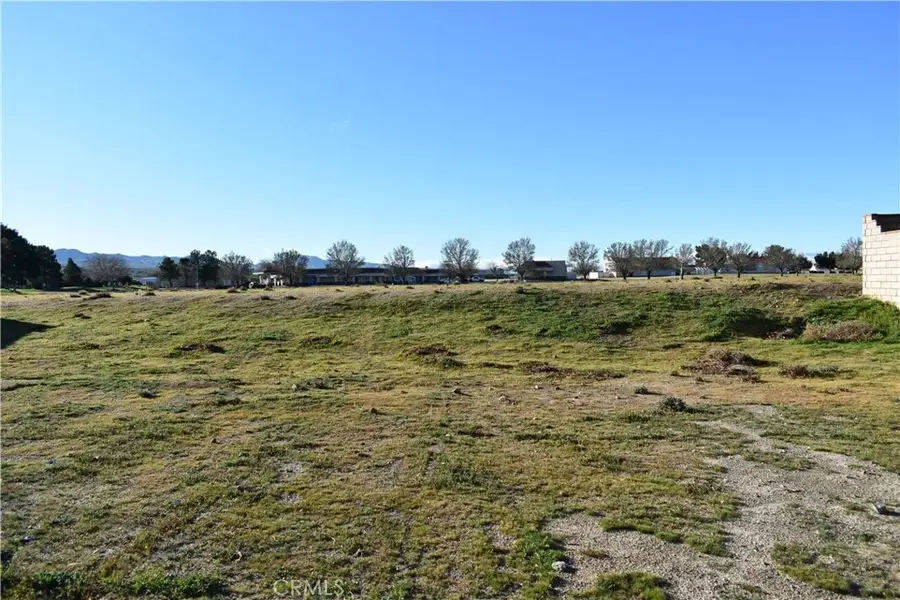 27237 Peach Tree, Helendale, CA 92342 - #2