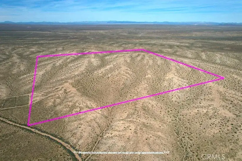 160 Near Buckthorn Canyon, Helendale, CA 92342 - #2