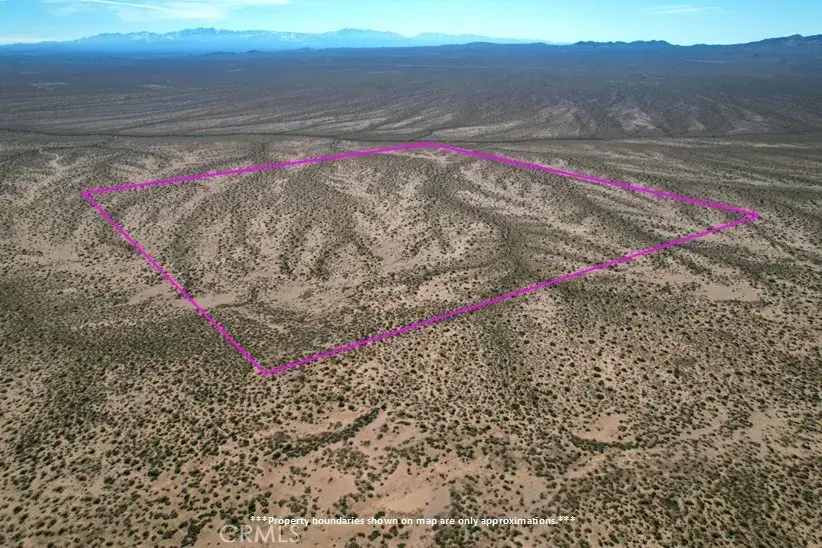 160 Near Buckthorn Canyon, Helendale, CA 92342 - #3