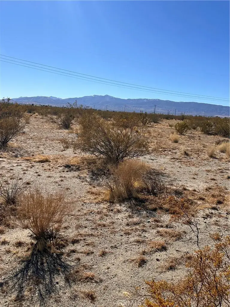 0 La Mesa, Pinon Hills, CA 92372 - #2