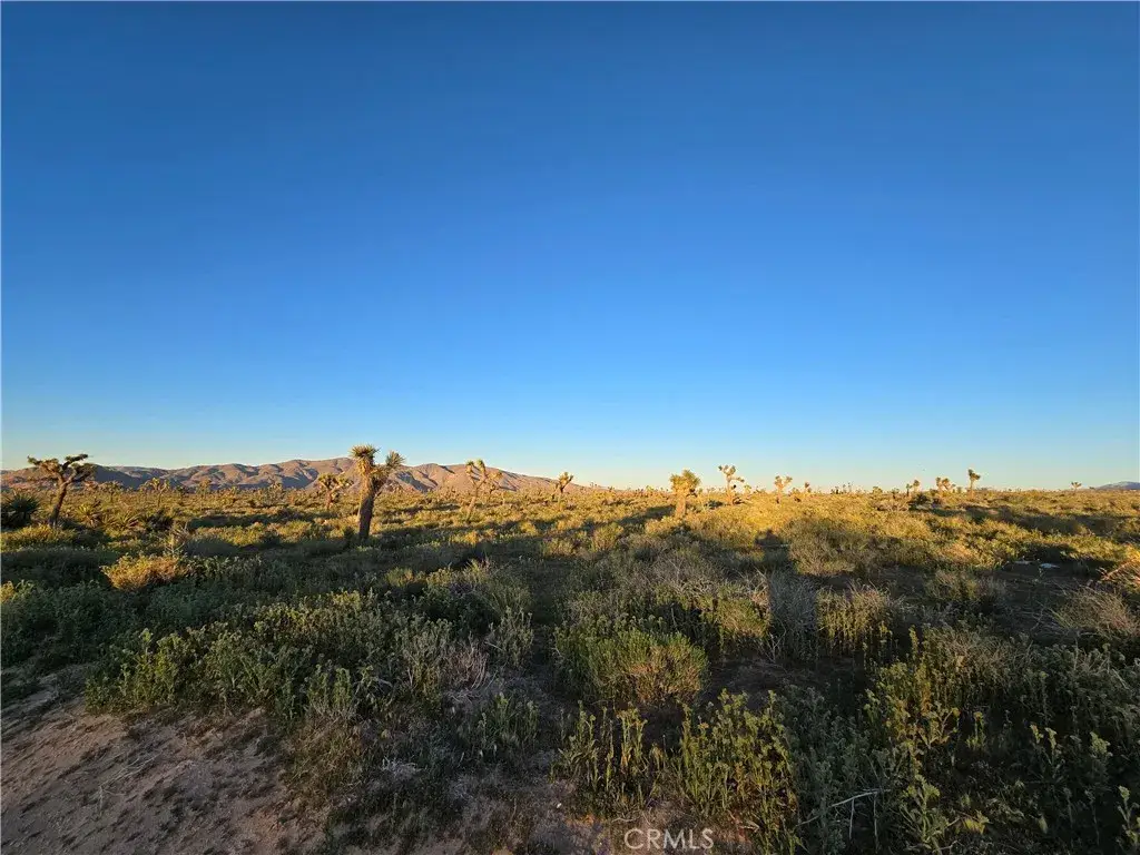 55 Japatul, Apple Valley, CA 92308 - #1