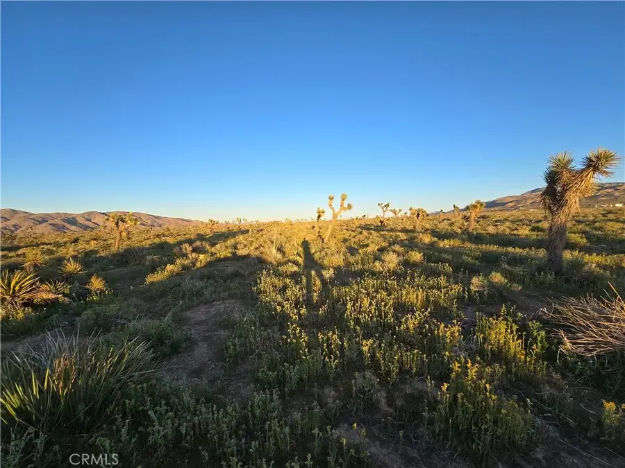 55 Japatul, Apple Valley, CA 92308 - #3