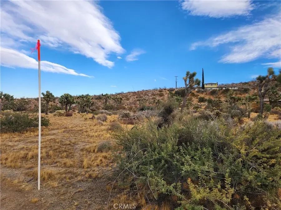 164 Joshua, Yucca Valley, CA 92284 - #3