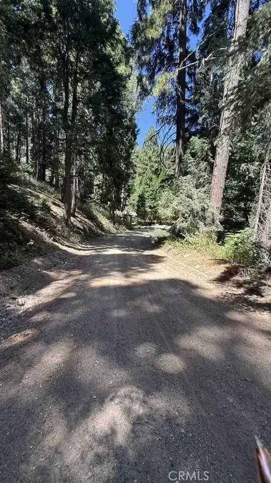 34207243 Mojave River Rd., Cedarpines Park, CA 92322 - #1