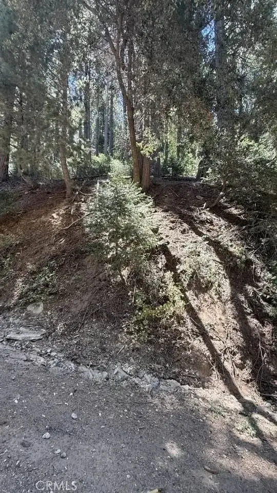 34207243 Mojave River Rd., Cedarpines Park, CA 92322 - #3
