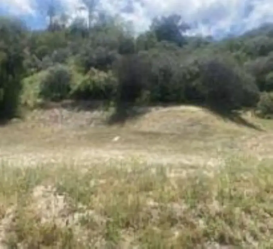 0 Mint Canyon #1, Agua Dulce, CA 91350 - #2