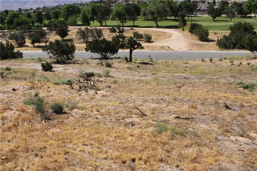 0 Buckthorn, Hesperia, CA 92345 - #3