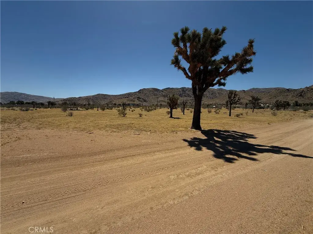 0 Thomas, Apple Valley, CA 92307 - #1
