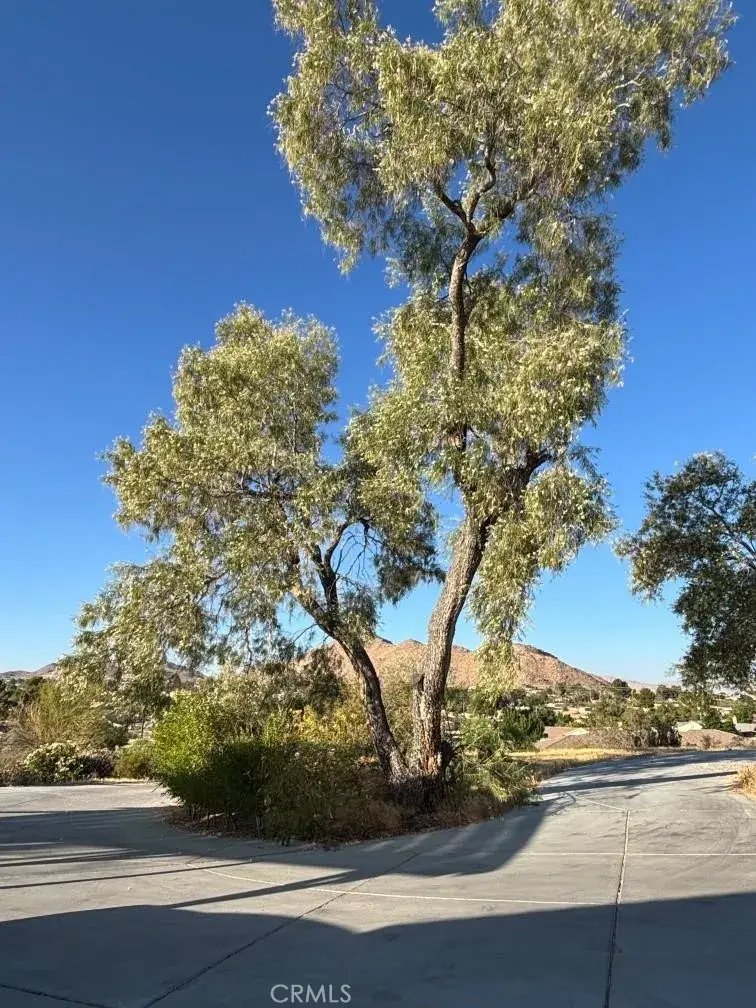 15492 Lenca, Apple Valley, CA 92307 - #2
