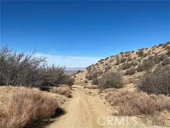 0 Dry Creek, Pinon Hills, CA 92372 - #2