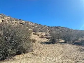 0 Dry Creek, Pinon Hills, CA 92372 - #3