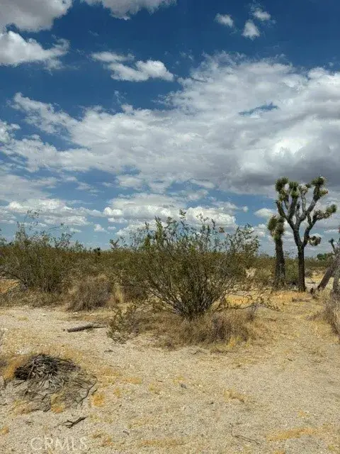 0 Ste/vic, Lake Los Angeles, CA 93591 - #2