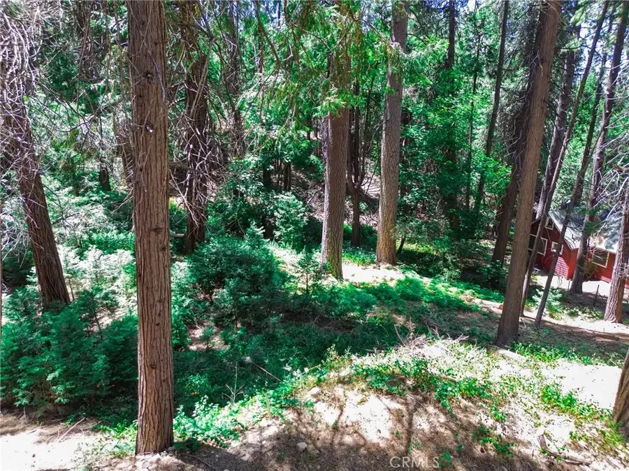 590 Electra, Crestline, CA 92325 - #3