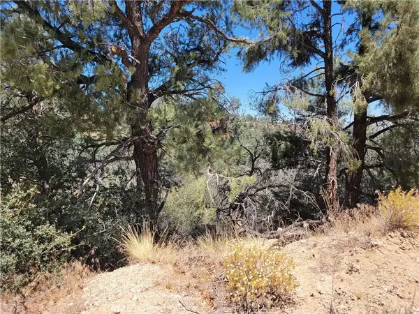 0 Old Oak Springs Valley, Wrightwood, CA 92397