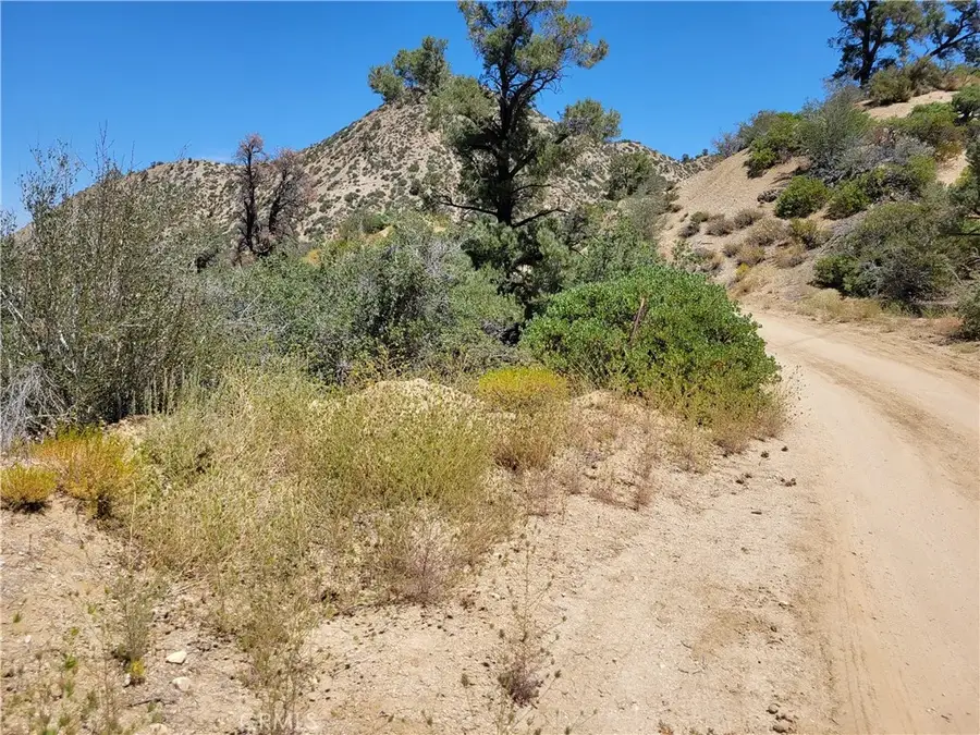 0 Old Oak Springs Valley, Wrightwood, CA 92397 - #2