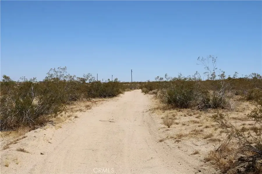 5 Joshua Tree, Johnson Valley, CA 92285 - #3